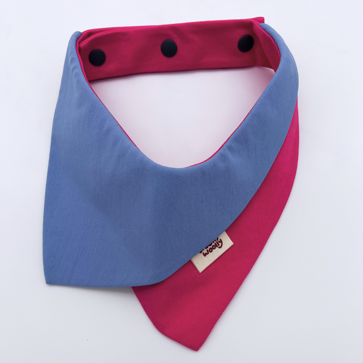 Colorblock Dog & Cat Bandana