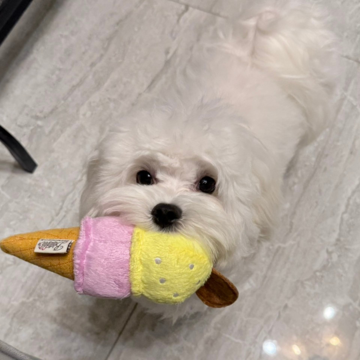 Plush Dog Toy|Ice Cream Lemon Sorbet