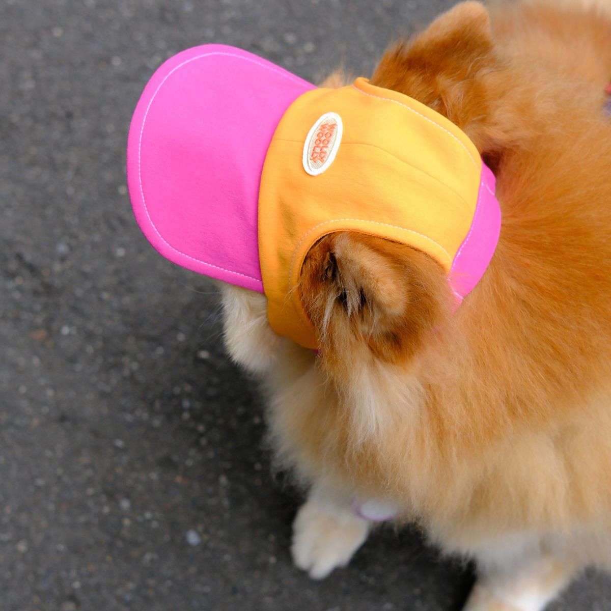 Colorblock Dog & Cat Cap|Orange/Pink