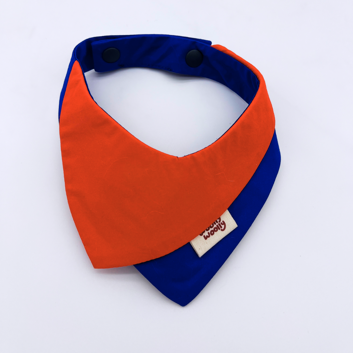 Colorblock Dog & Cat Bandana