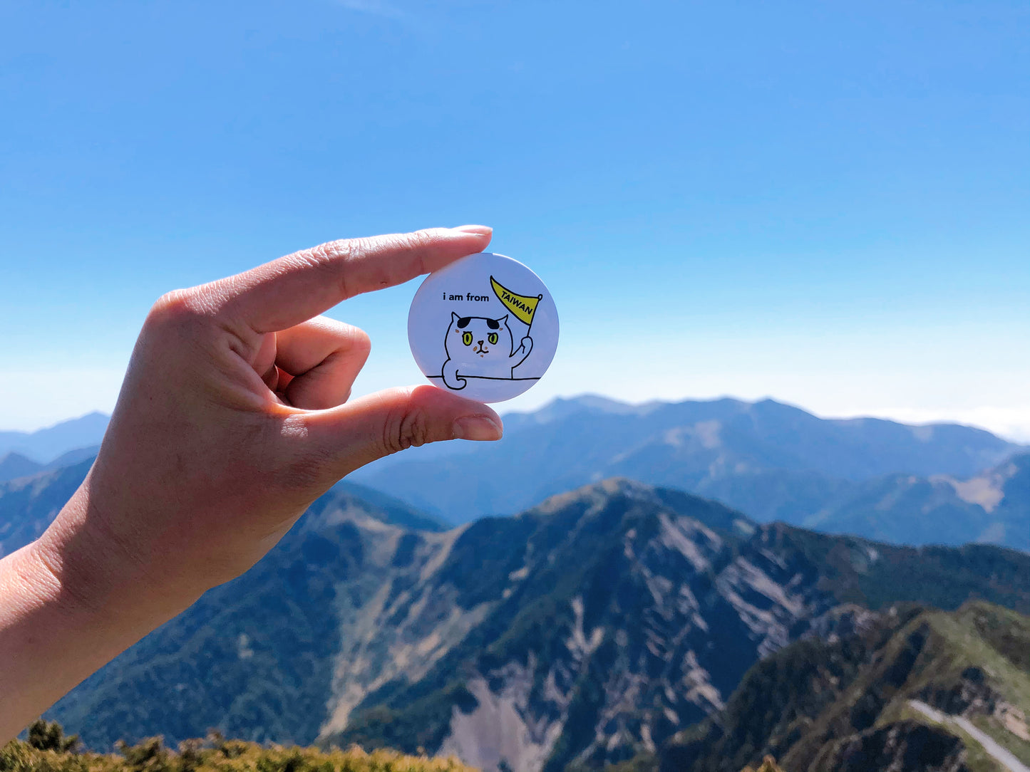 I'm from Taiwan Pin (Bad Kitty / Mask Cat / MeiChu Cat) | 台灣貓出征(壞貓咪 / 肉鬆貓 / 王美珠)
