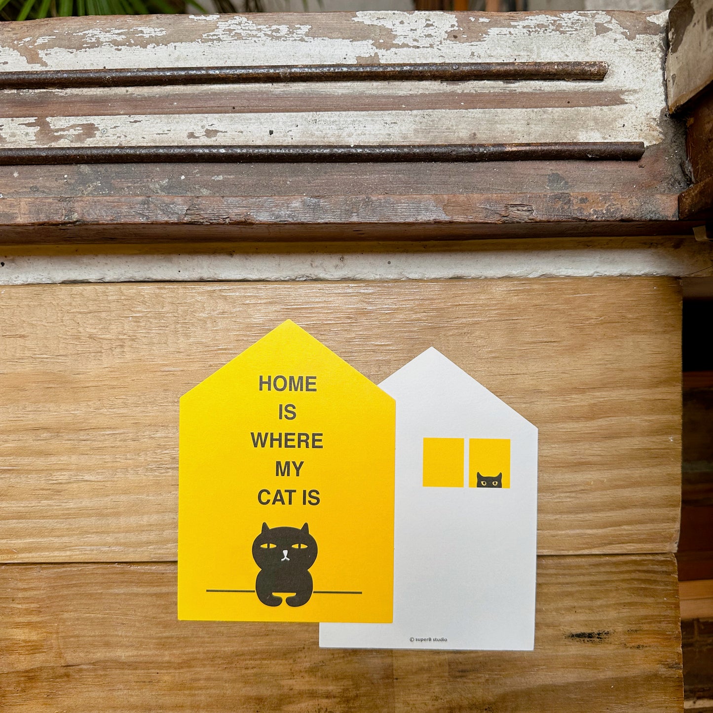 HOME IS WHERE MY CAT IS Postcard|喵家就是我家 明信片