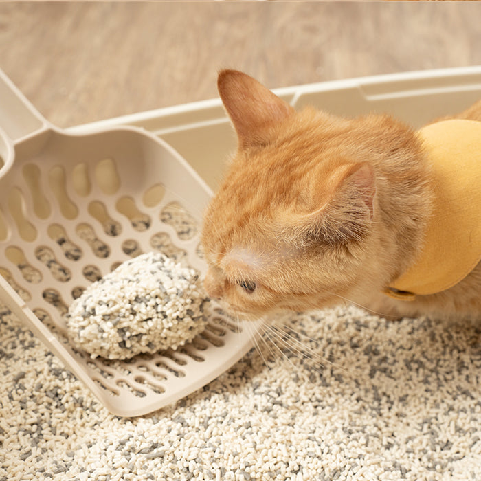 Enviro-Probiotics Clumping Tofu Cat Litter - Short (6-lb bag)|益生菌消臭豆腐砂 原味(米粒型) 6-lb bag