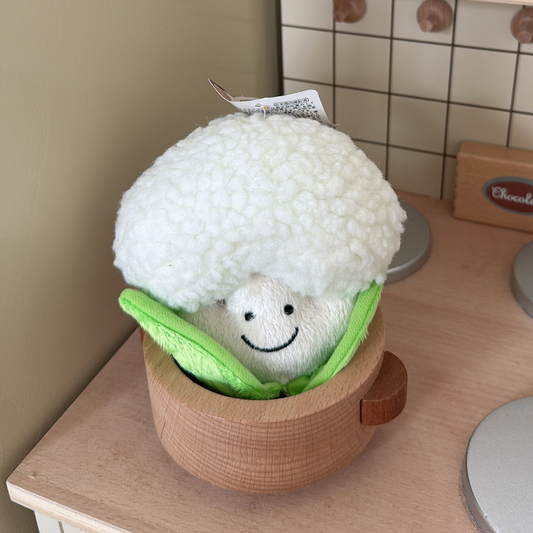 BESTEVER｜Cauliflower Plush Dog Toy