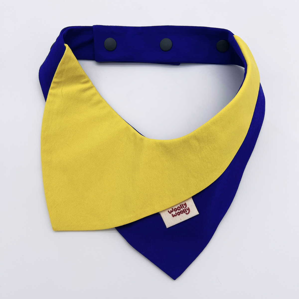 Colorblock Dog & Cat Bandana