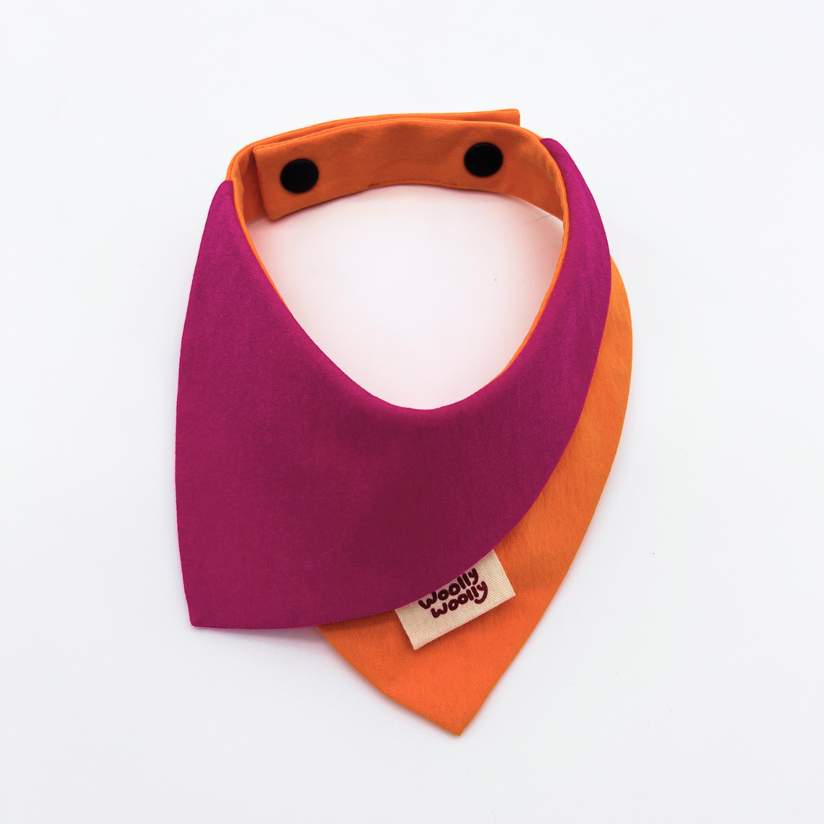 Colorblock Dog & Cat Bandana