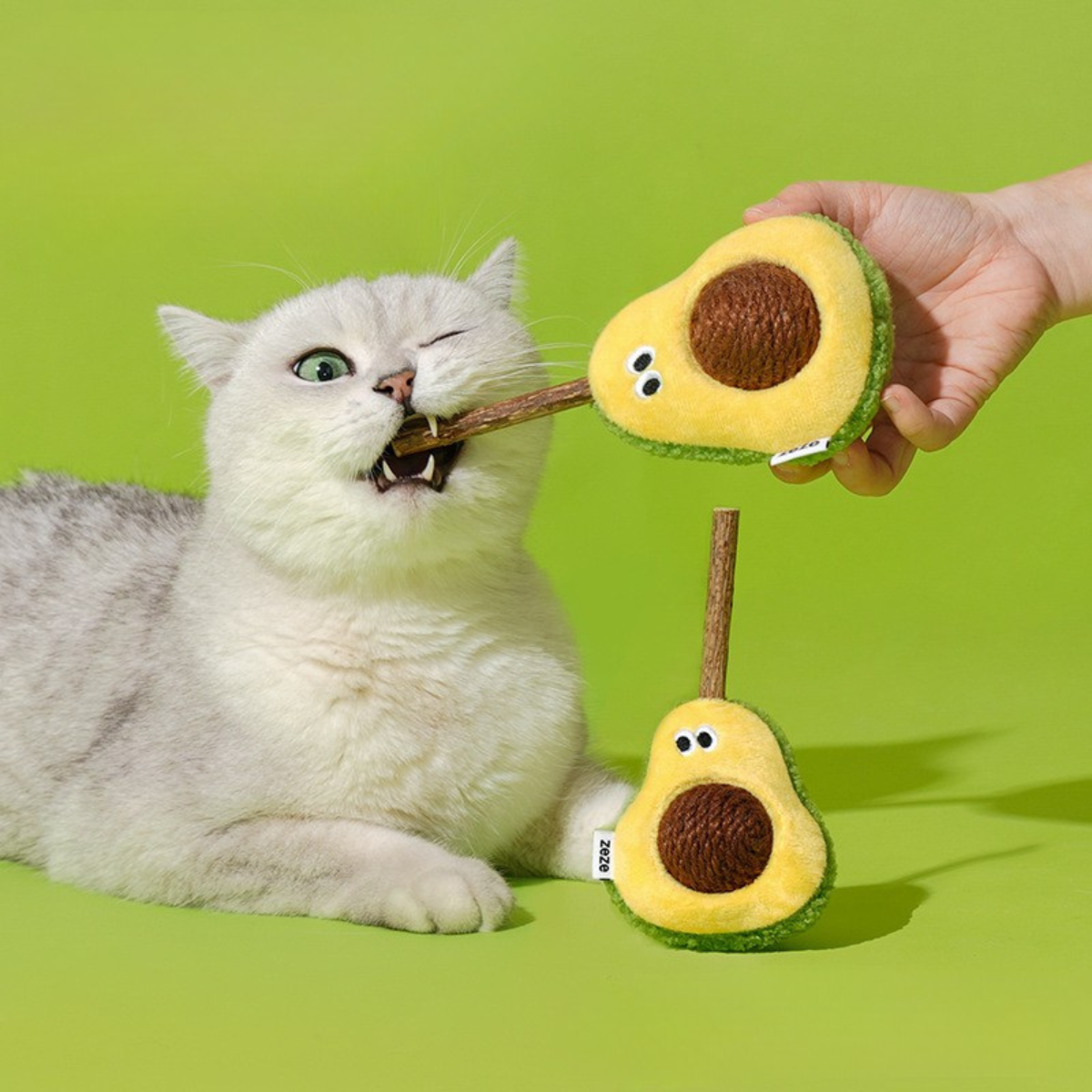 zeze｜Catnip AvaCatDo Cat Toy