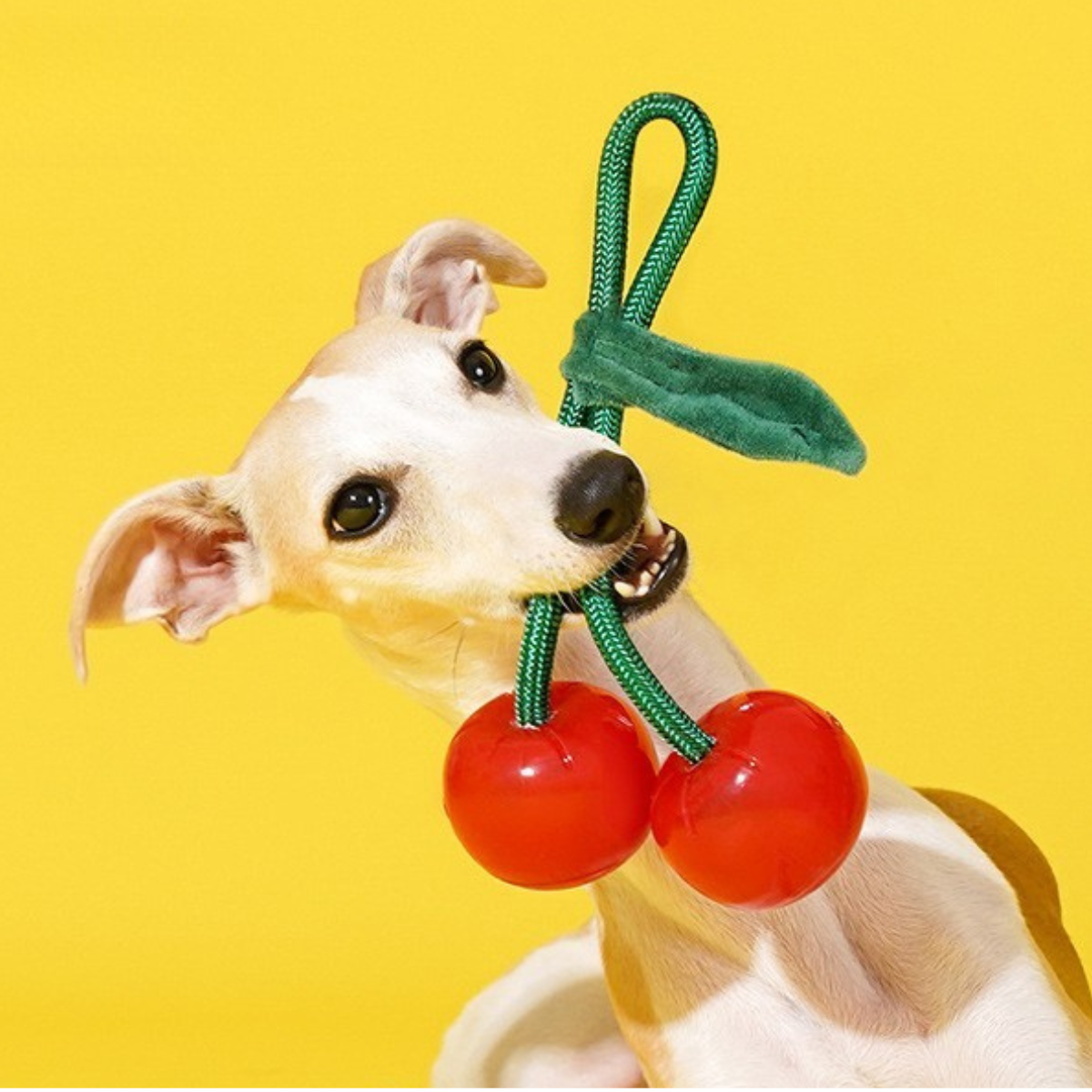 zeze｜Cherry Dog Rope Toy