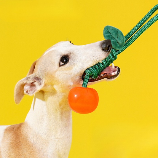 zeze｜Orange Dog Rope Toy