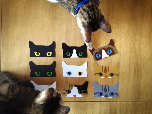 Peeping Cat Stickers (9pcs) | 貓出沒注意! 貼紙 全系列組合包 (9張)