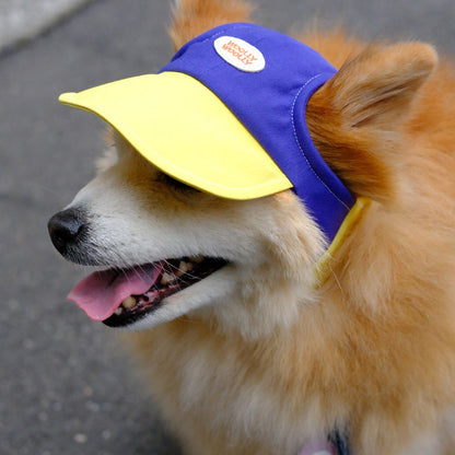 Colorblock Dog & Cat Cap｜Blue/Yellow