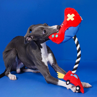 zeze｜PAW-S-5 Controller Rope Toy