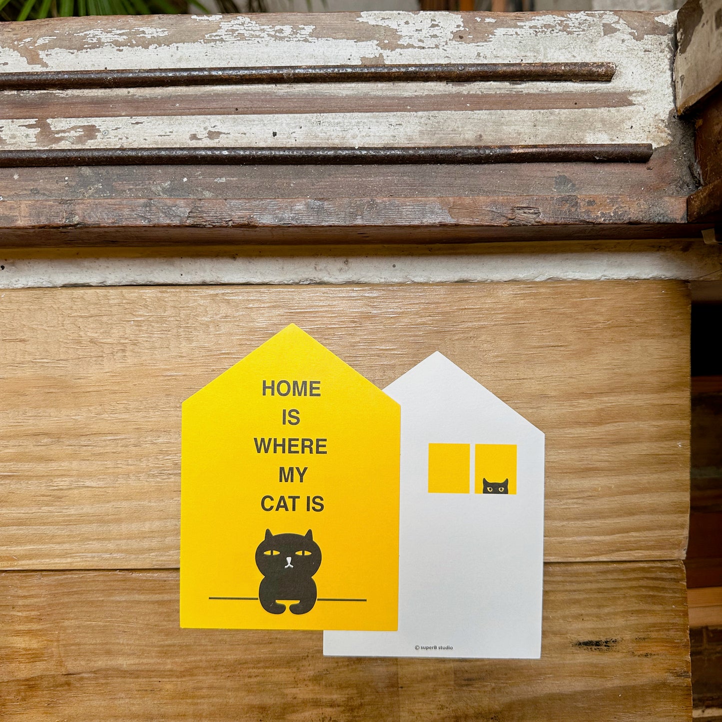 HOME IS WHERE MY CAT IS Postcard｜喵家就是我家 明信片